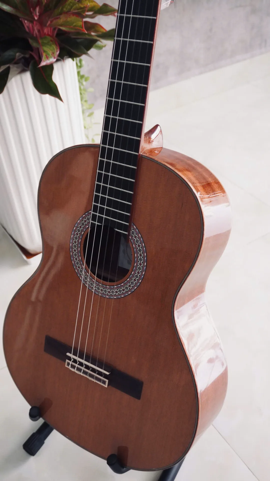 Cách bảo quản đàn guitar trong thời tiết nóng ẩm