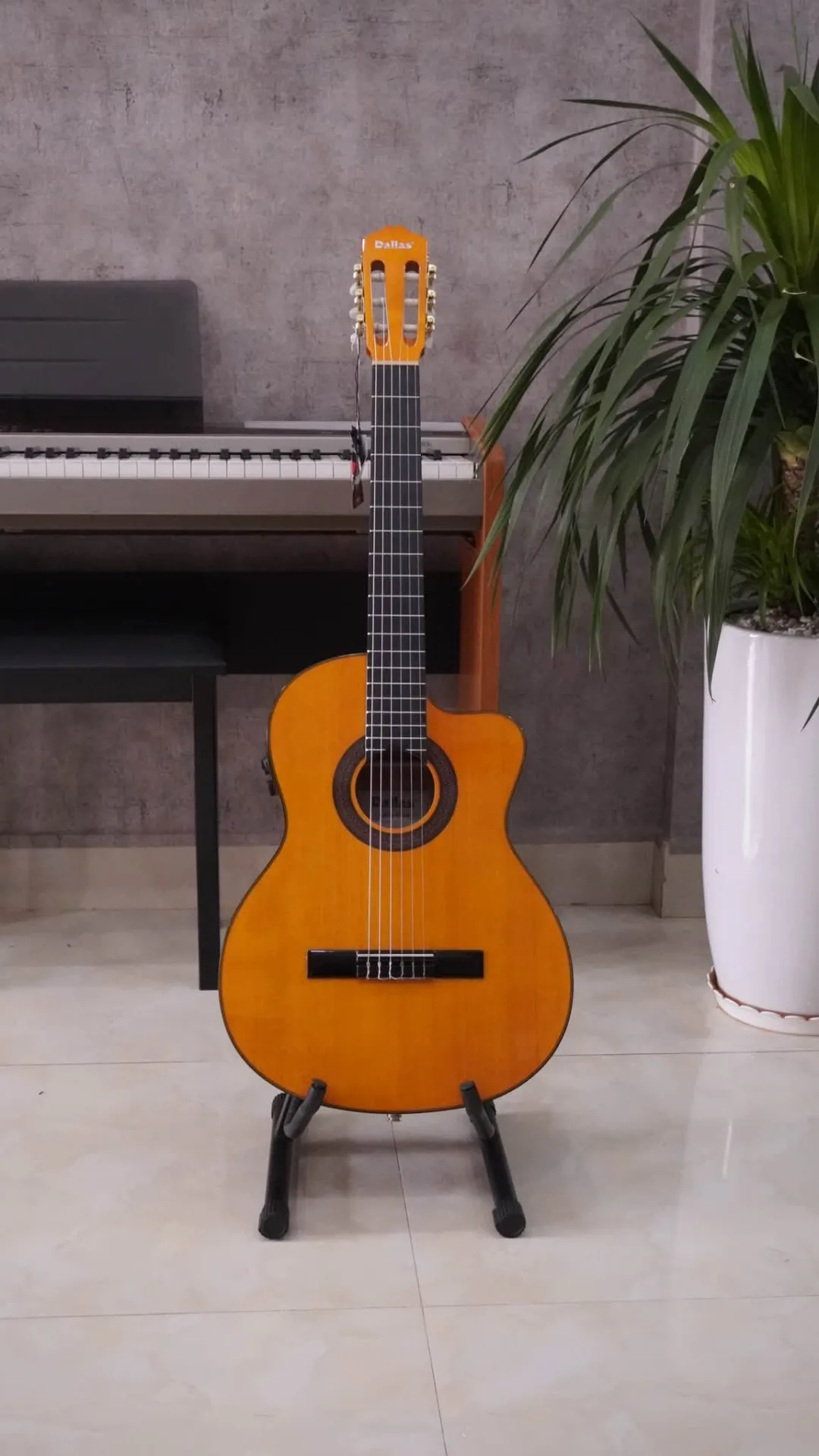 Guitar Classic Dallas DL-C1CE – Đàn Classic Tích Hợp EQ Merite Tại BMT